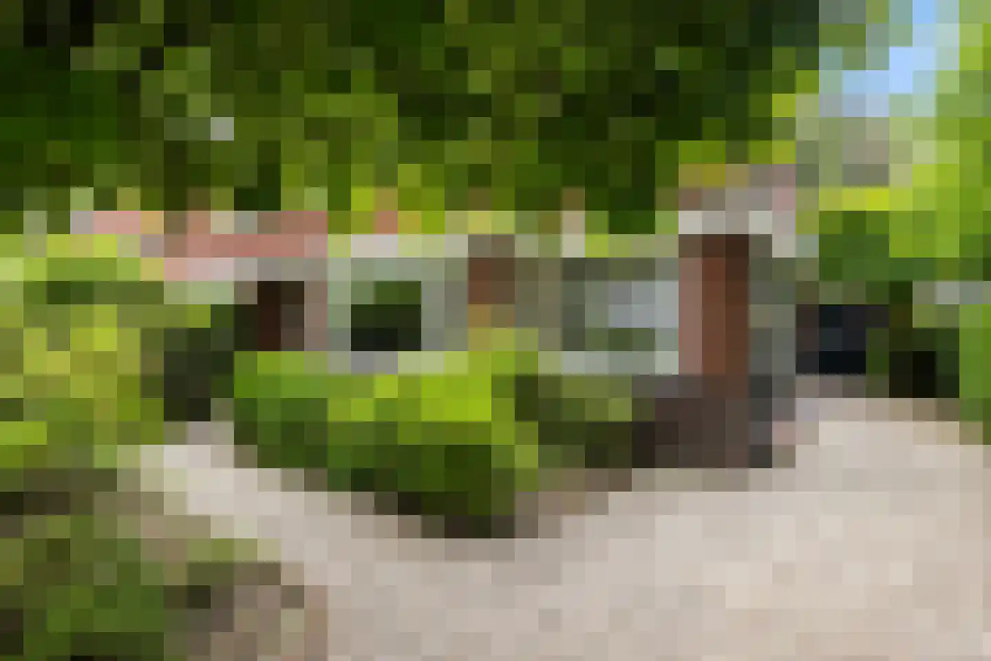 Krullelaan 2 A Zeist thumbnail 6