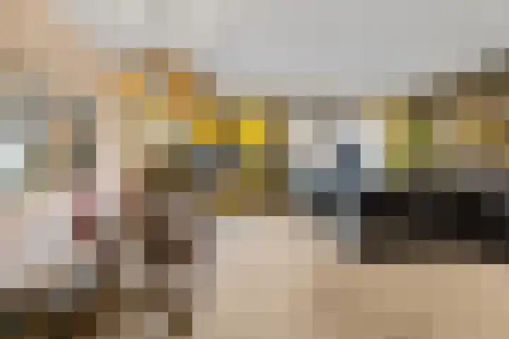 Krullelaan 41 Zeist thumbnail 14