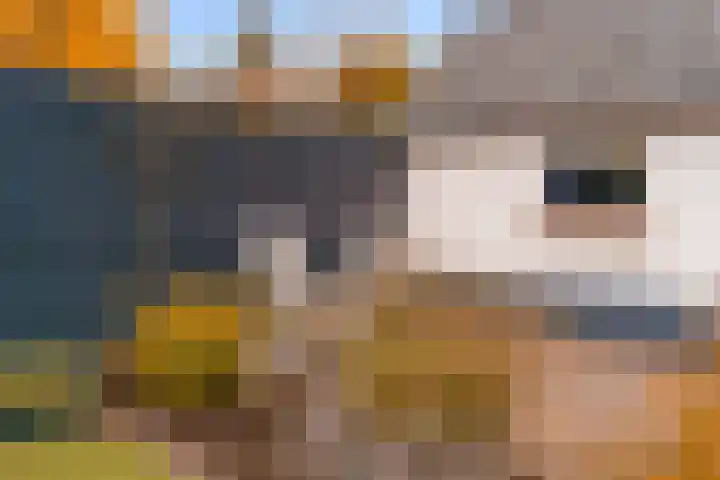 Krullelaan 41 Zeist thumbnail 21