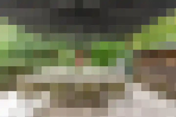 Krullenlaan 16 Bloemendaal thumbnail 18