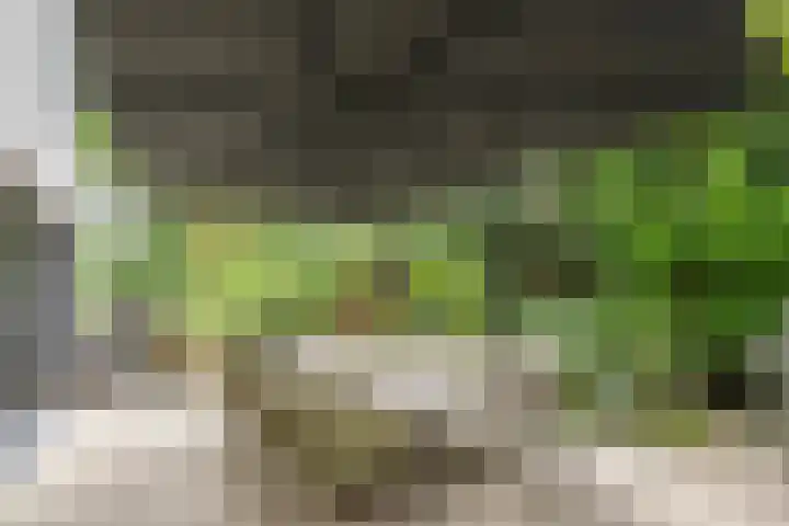Krullenlaan 16 Bloemendaal thumbnail 19