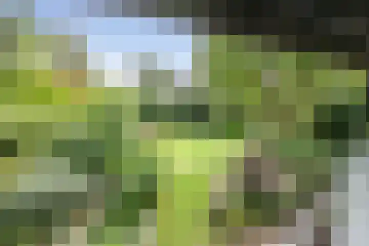 Krullenlaan 16 Bloemendaal thumbnail 27
