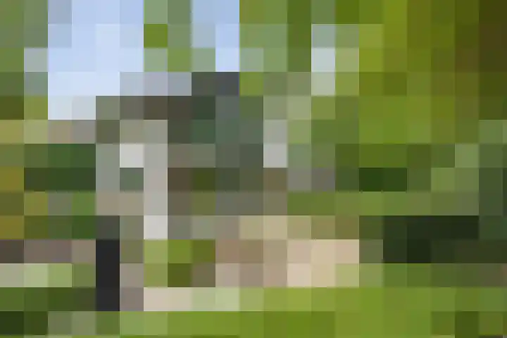 Krullenlaan 16 Bloemendaal thumbnail 64