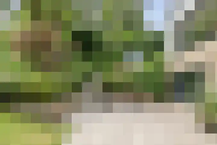 Krullenlaan 16 Bloemendaal thumbnail 65