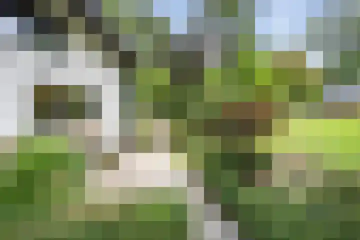 Krullenlaan 16 Bloemendaal thumbnail 66
