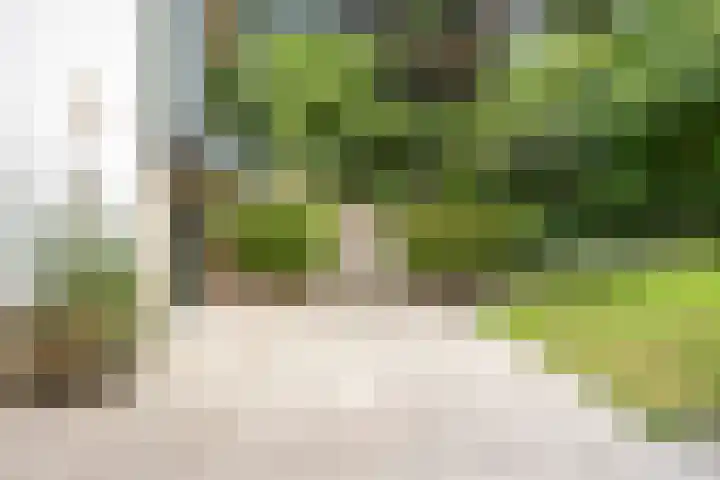 Krullenlaan 16 Bloemendaal thumbnail 67