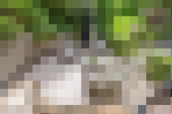 Krullenlaan 16 Bloemendaal thumbnail 68