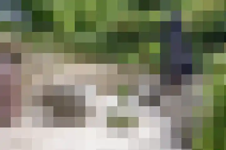 Krullenlaan 16 Bloemendaal thumbnail 69