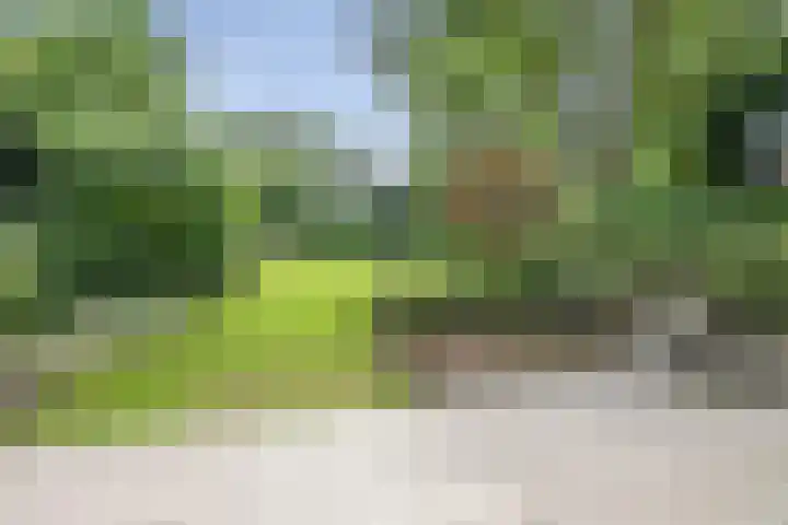 Krullenlaan 16 Bloemendaal thumbnail 70