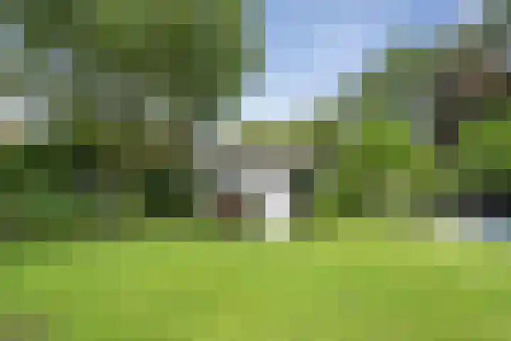 Krullenlaan 16 Bloemendaal thumbnail 71