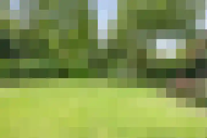 Krullenlaan 16 Bloemendaal thumbnail 74