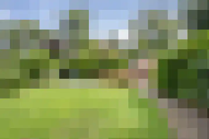 Krullenlaan 16 Bloemendaal thumbnail 75