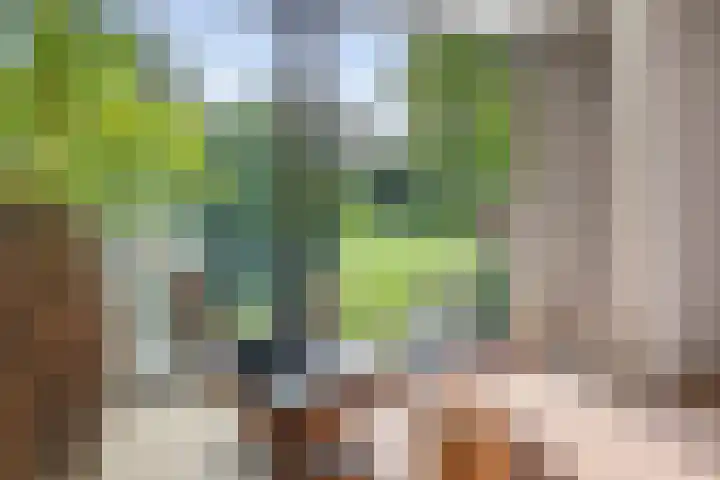 Krullenlaan 16 Bloemendaal thumbnail 8