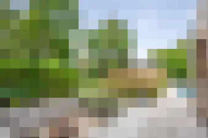 Krullenlaan 16 Bloemendaal thumbnail 84