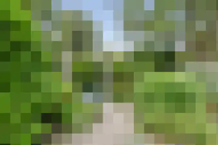 Krullenlaan 16 Bloemendaal thumbnail 85