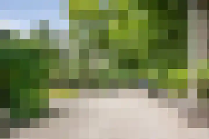Krullenlaan 16 Bloemendaal thumbnail 87