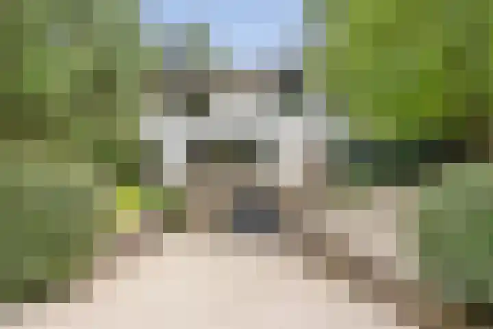 Krullenlaan 16 Bloemendaal thumbnail 88
