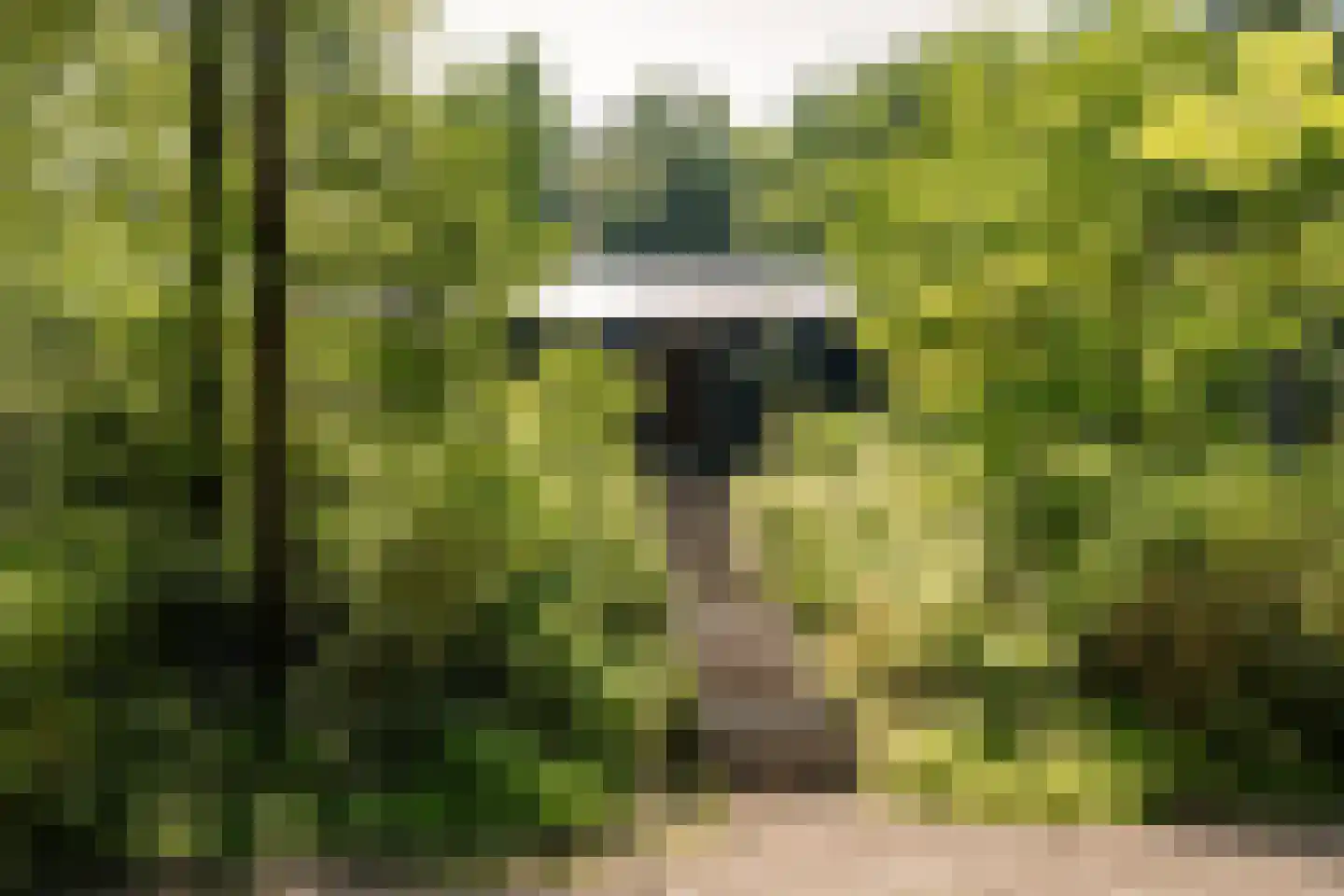 Krullenlaan 5 Bloemendaal thumbnail 10