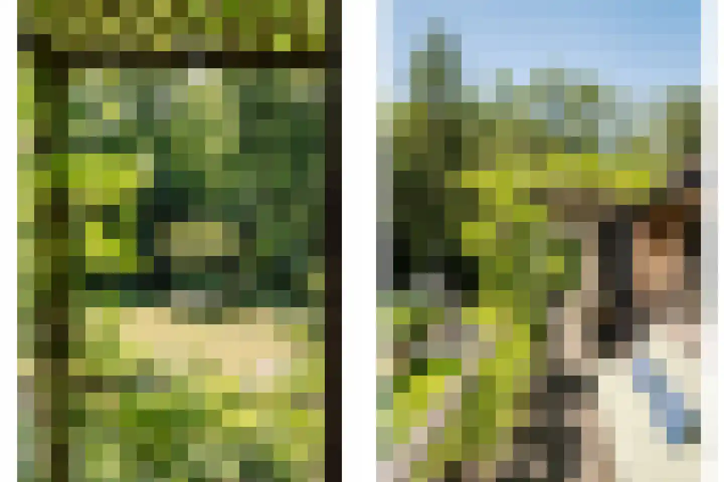 Krullenlaan 5 Bloemendaal thumbnail 17