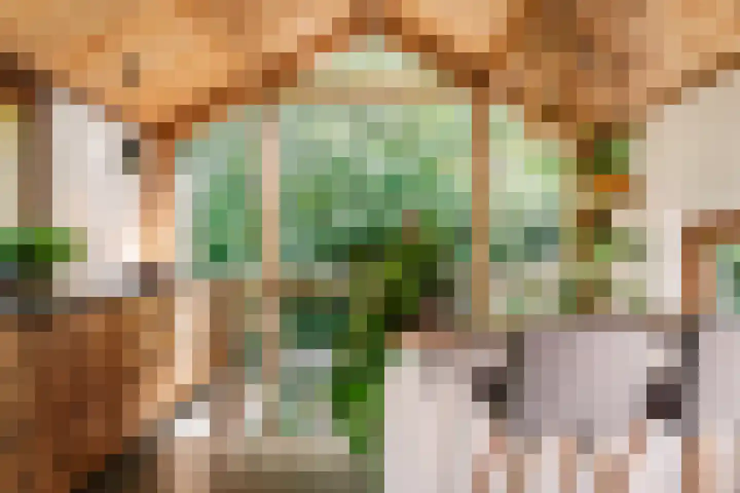 Krullenlaan 5 Bloemendaal thumbnail 28