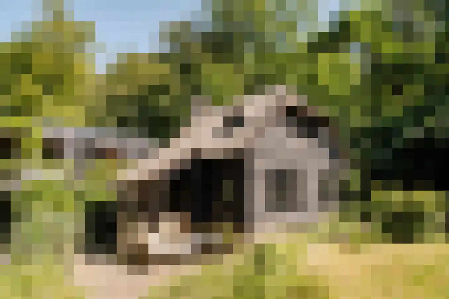 Krullenlaan 5 Bloemendaal thumbnail 4