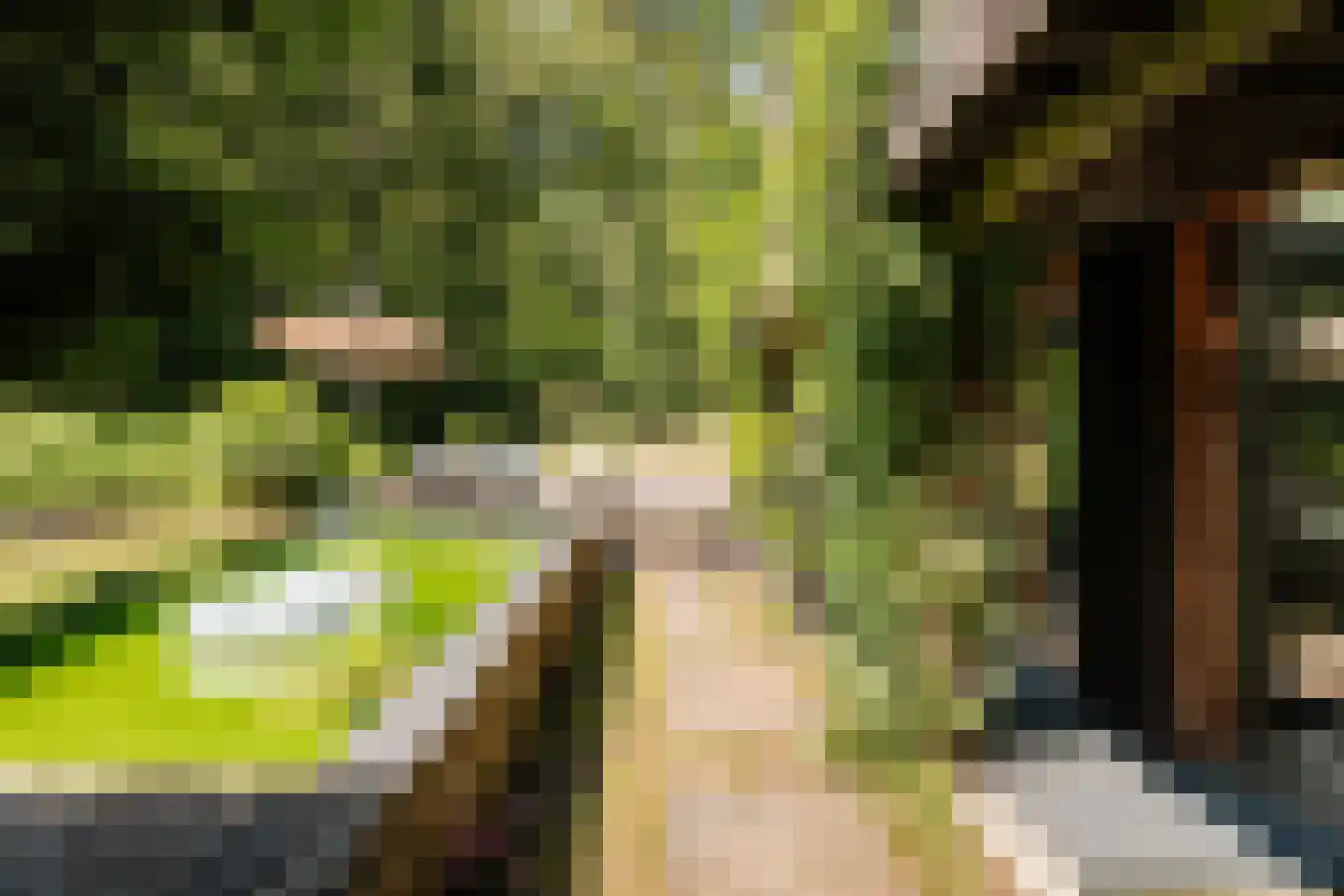 Krullenlaan 5 Bloemendaal thumbnail 43