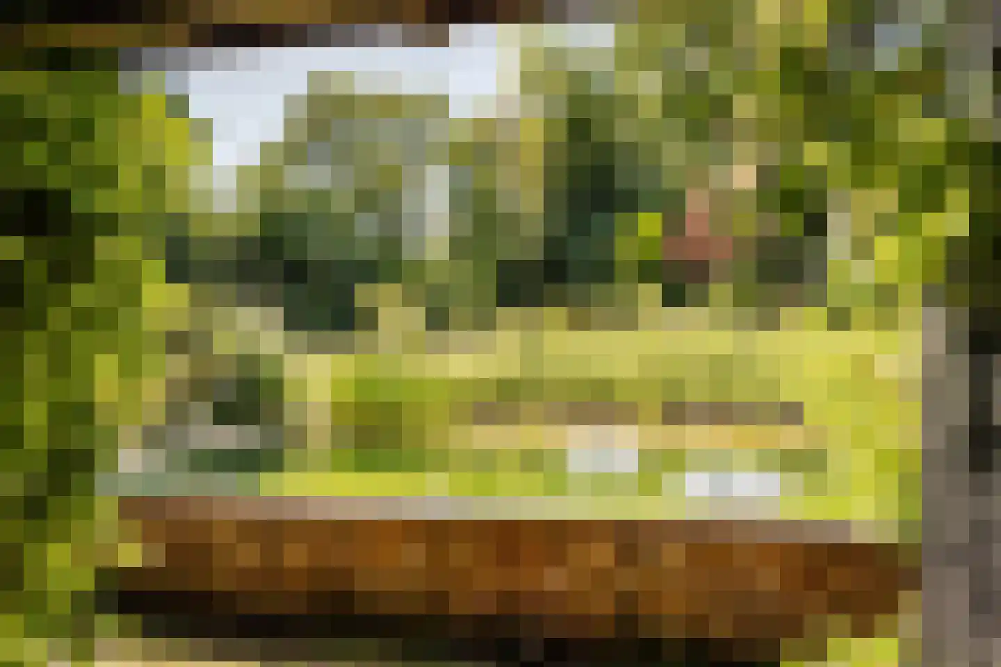 Krullenlaan 5 Bloemendaal thumbnail 48