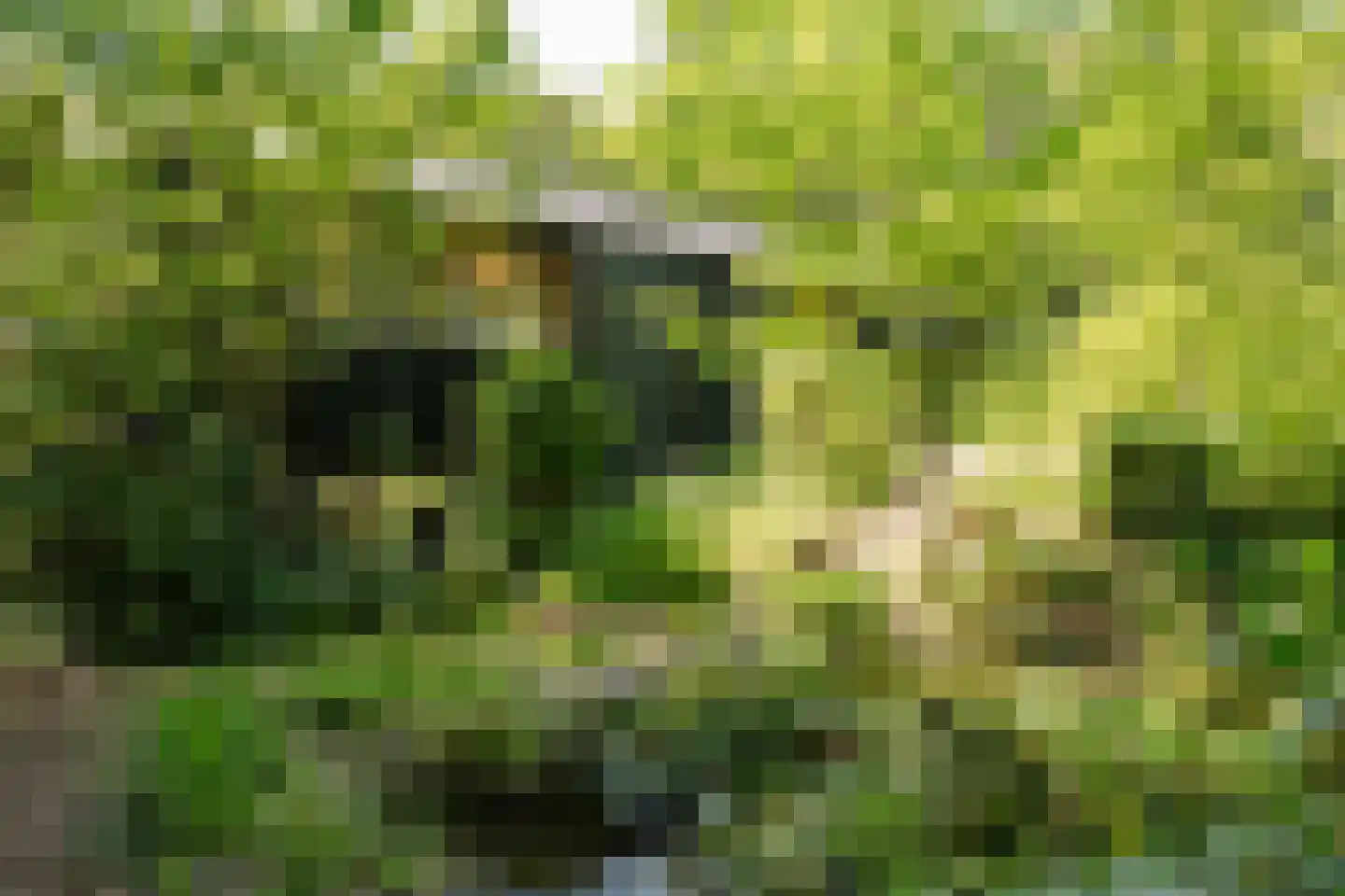 Krullenlaan 5 Bloemendaal thumbnail 5