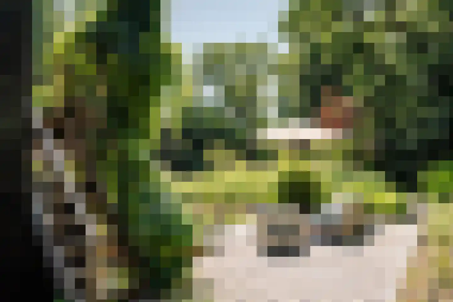 Krullenlaan 5 Bloemendaal thumbnail 50