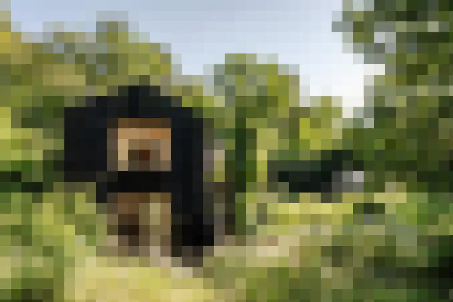 Krullenlaan 5 Bloemendaal thumbnail 6