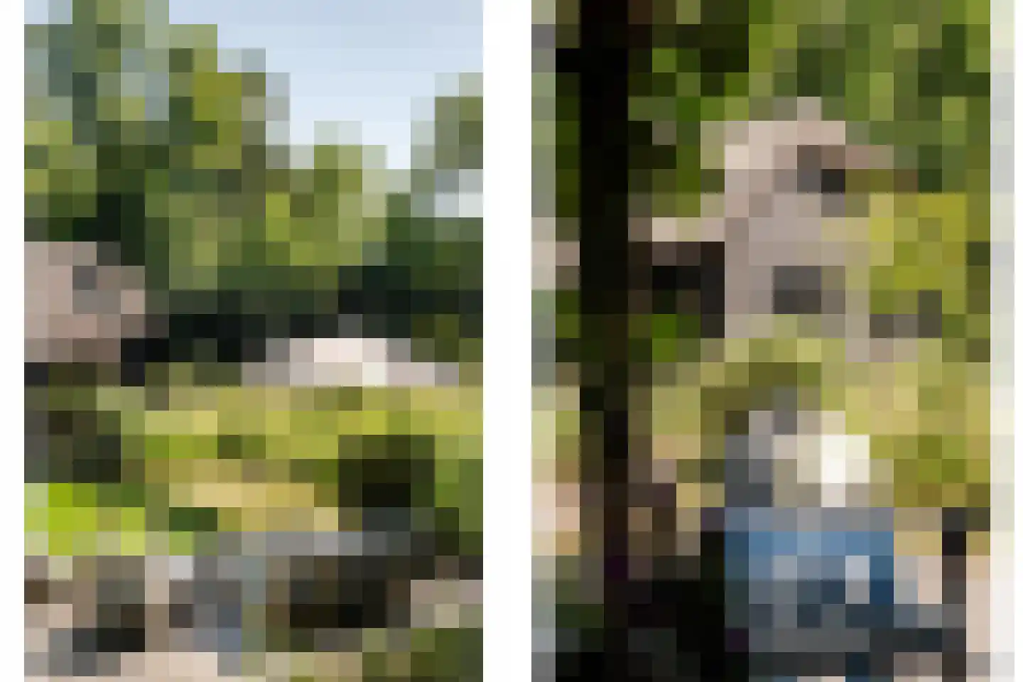 Krullenlaan 5 Bloemendaal thumbnail 67