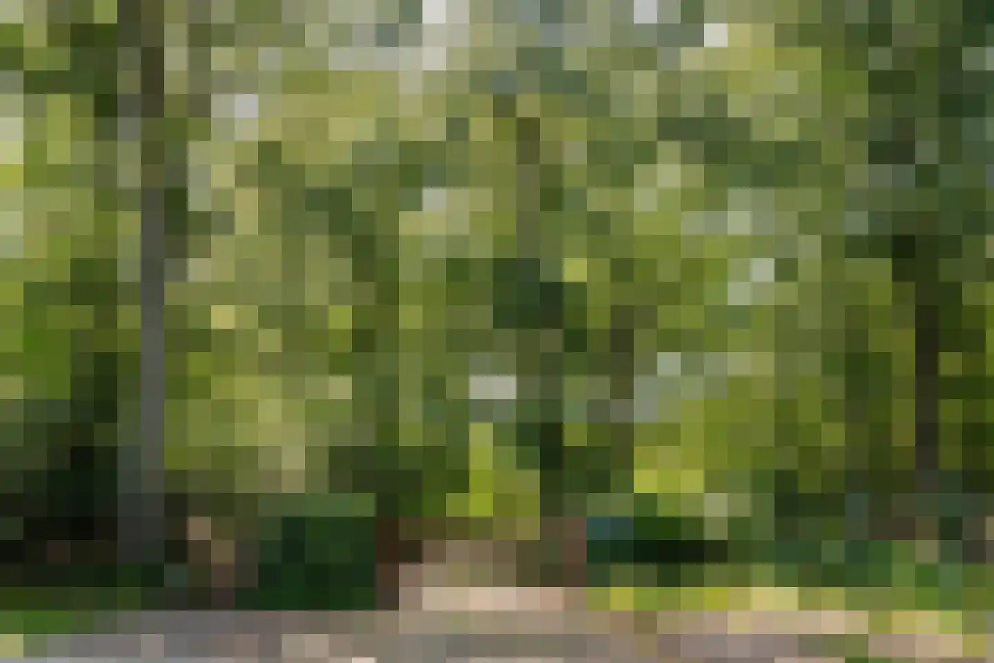 Krullenlaan 5 Bloemendaal thumbnail 8