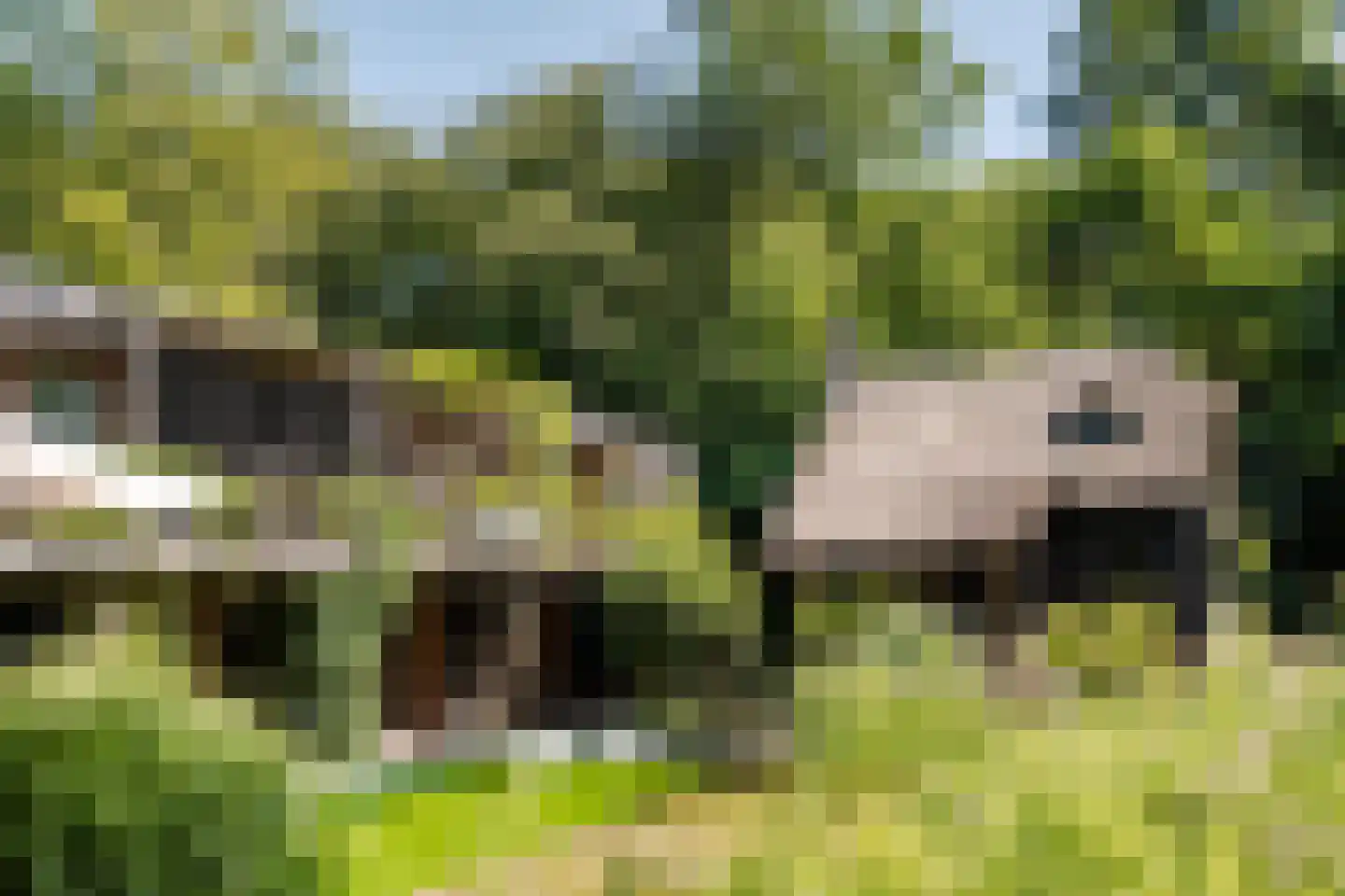 Krullenlaan 5 Bloemendaal thumbnail 87