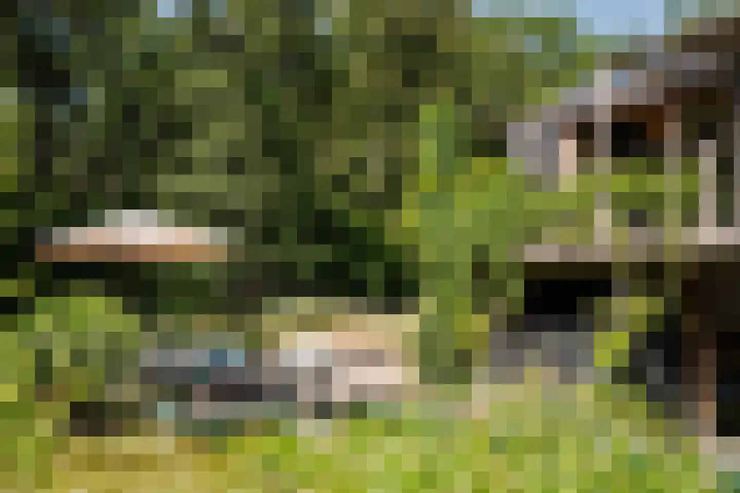 Krullenlaan 5 Bloemendaal thumbnail 88