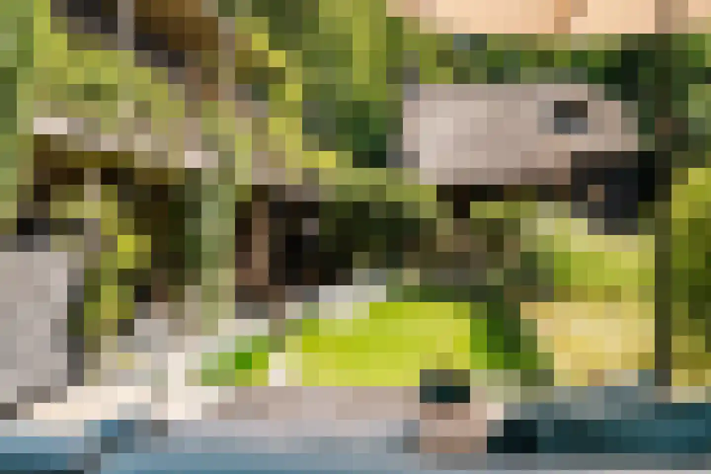 Krullenlaan 5 Bloemendaal thumbnail 89