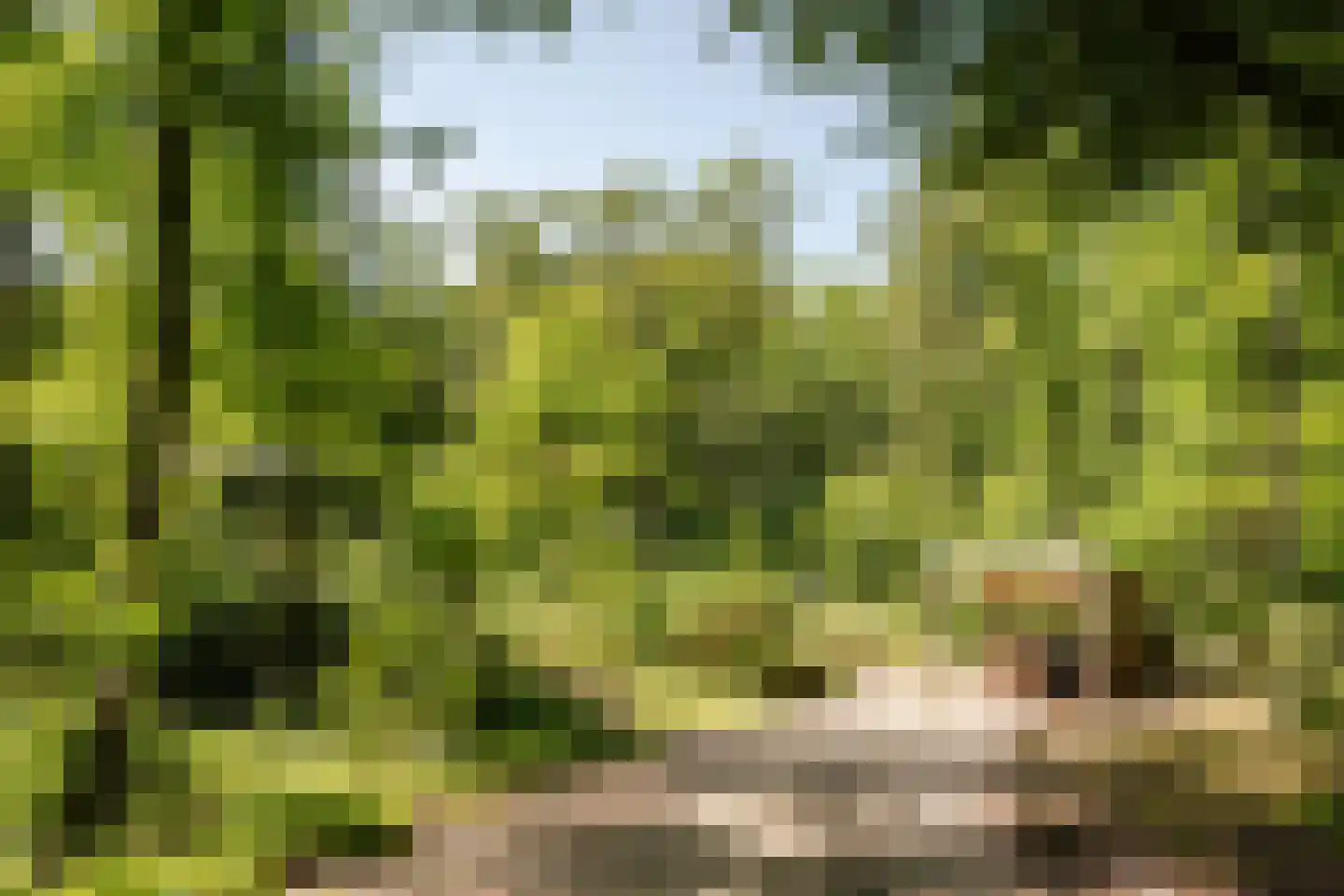 Krullenlaan 5 Bloemendaal thumbnail 9