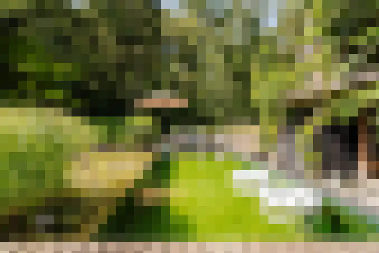 Krullenlaan 5 Bloemendaal thumbnail 90