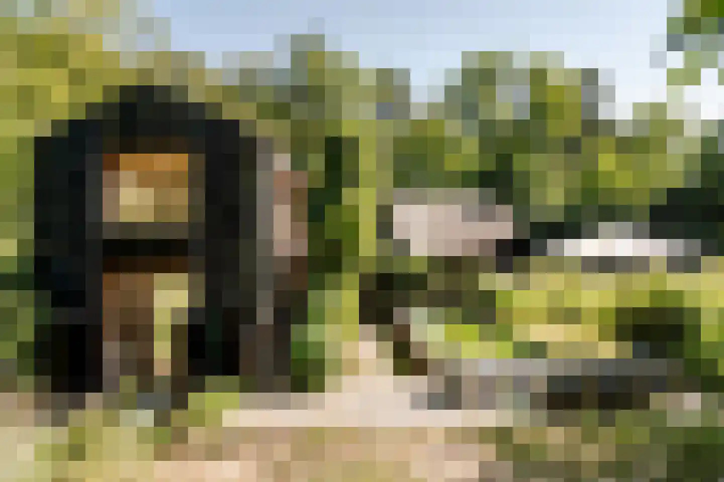 Krullenlaan 5 Bloemendaal thumbnail 92