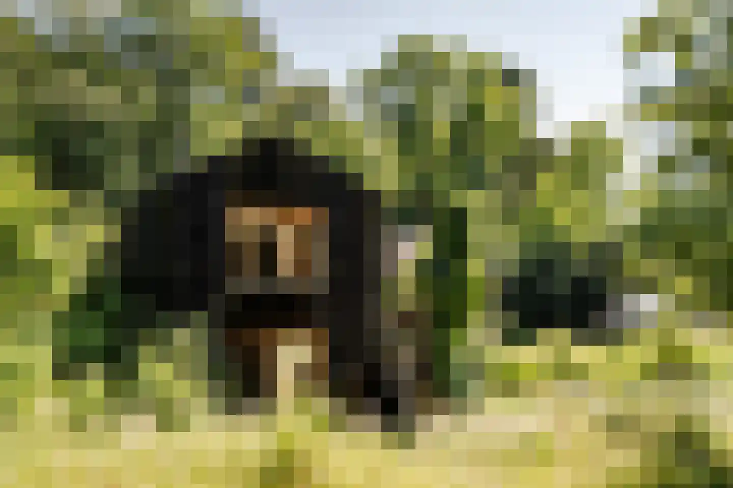 Krullenlaan 5 Bloemendaal thumbnail 93