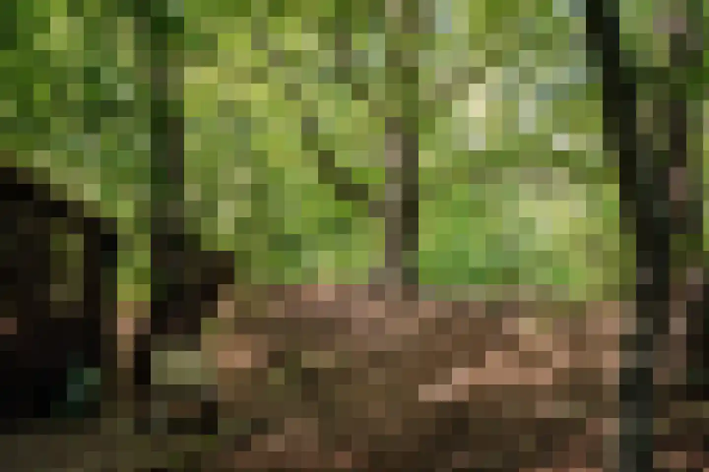 Krullenlaan 5 Bloemendaal thumbnail 95