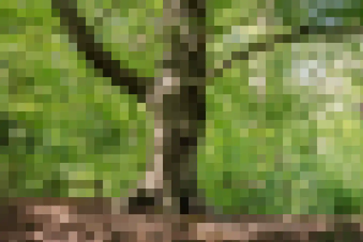 Krullenlaan 5 Bloemendaal thumbnail 96