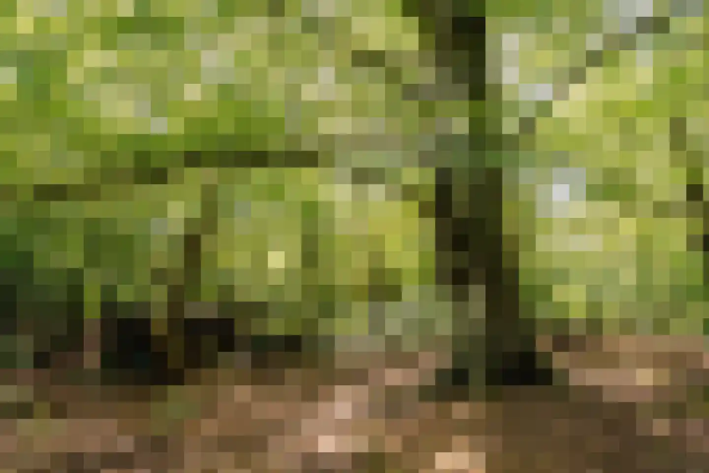 Krullenlaan 5 Bloemendaal thumbnail 97