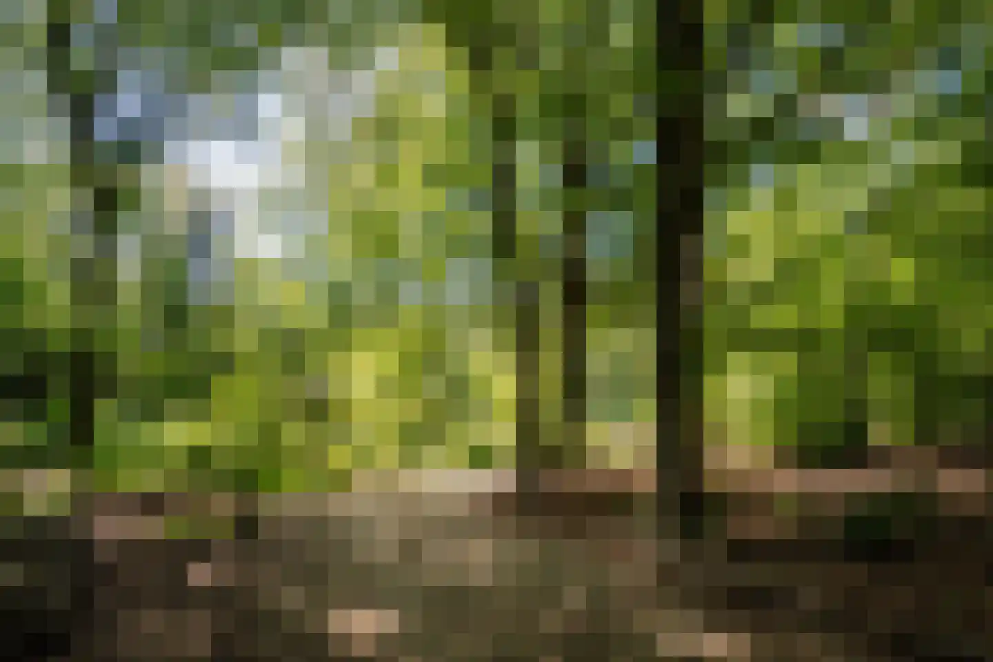 Krullenlaan 5 Bloemendaal thumbnail 98