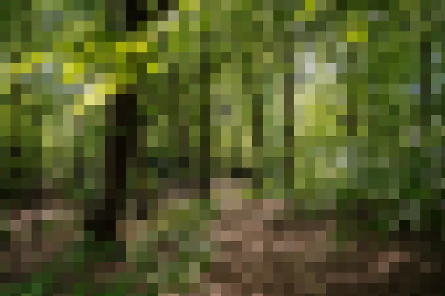 Krullenlaan 5 Bloemendaal thumbnail 99