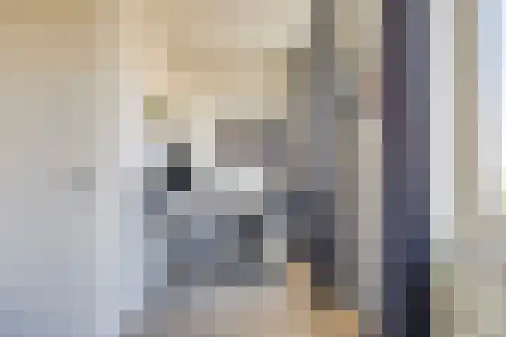 Krullevaar 23 Kapelle thumbnail 15