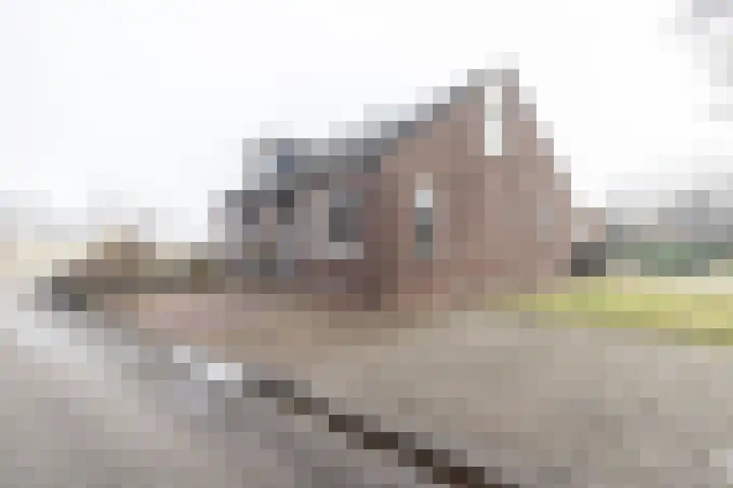 Krullweg 2 en Foxhol