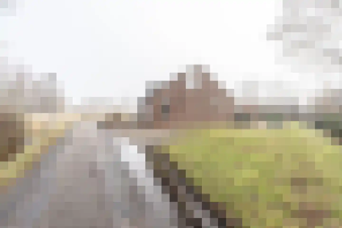 Krullweg 2 Foxhol thumbnail 5