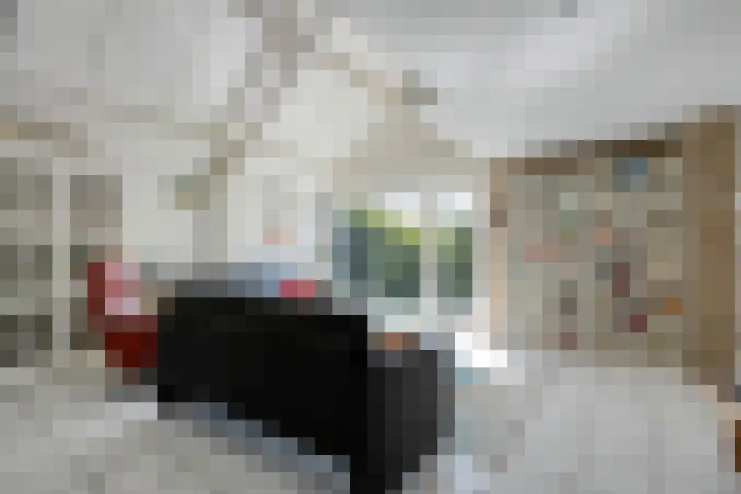 Krulmate 109 Zwolle thumbnail 11