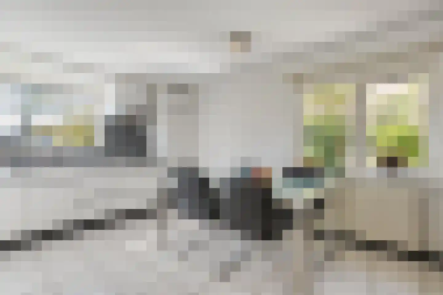 Krulmate 109 Zwolle thumbnail 15