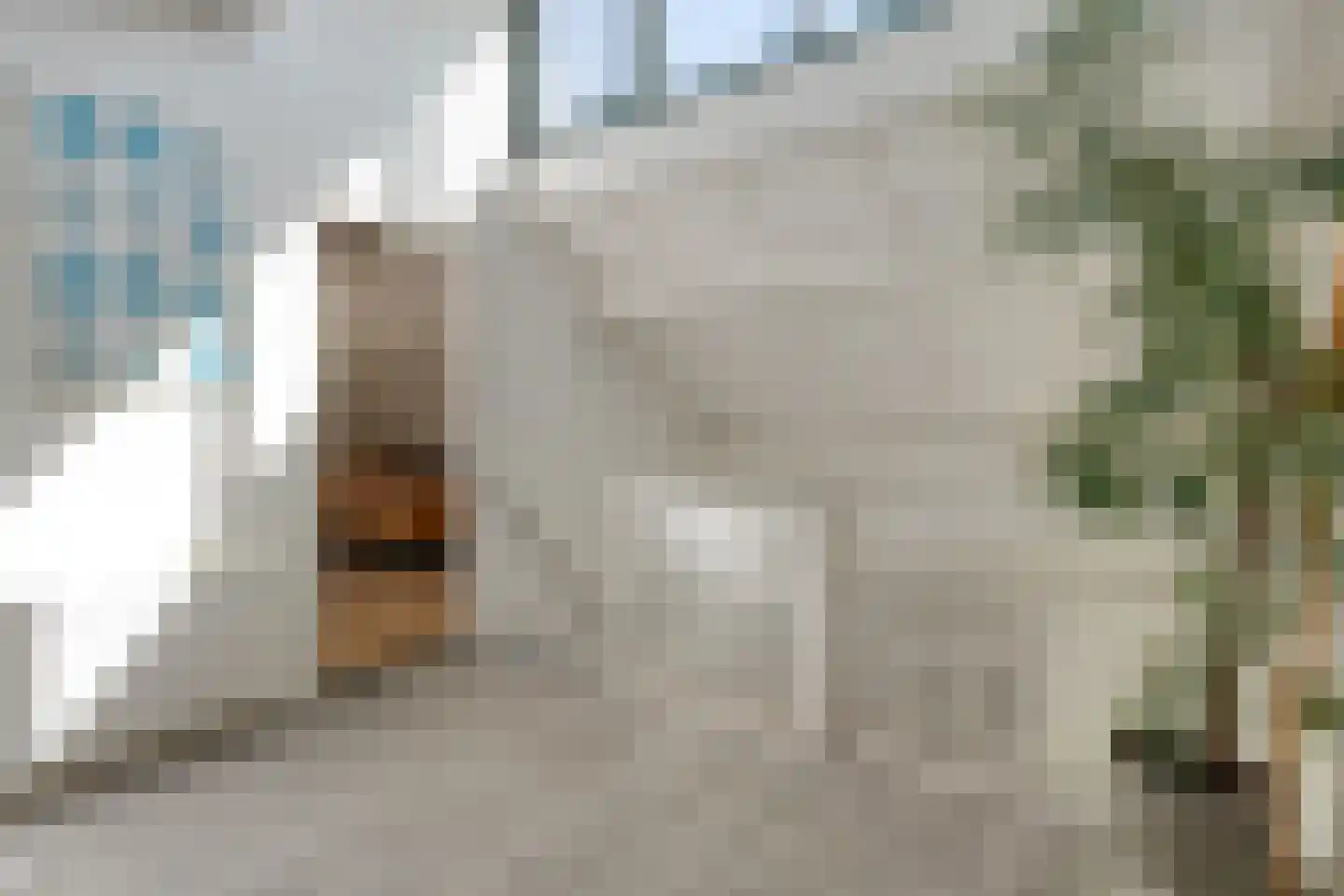 Krulmate 109 Zwolle thumbnail 27